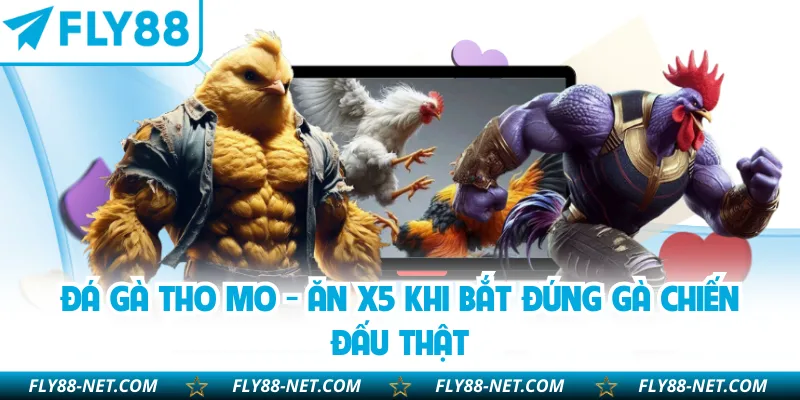 Đá Gà Tho Mo - Ăn X5 Khi Bắt Đúng Gà Chiến Đấu Thật