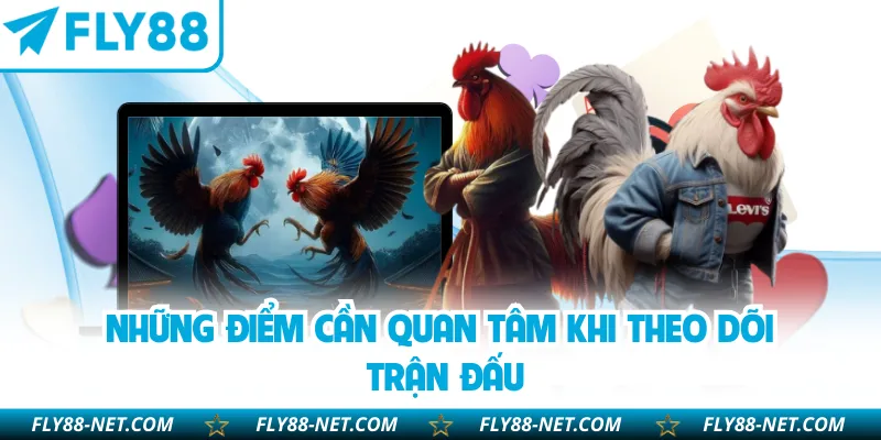 Những điểm cần quan tâm khi theo dõi trận đấu